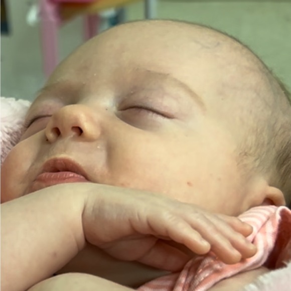 Meet your Posher, Tree and family - Picture 3 of 15